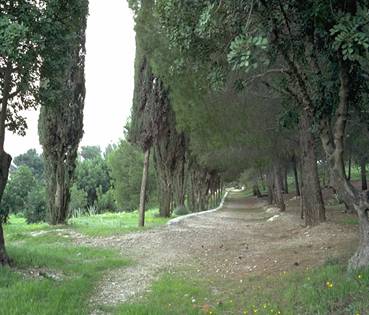 Olijfberg pathway